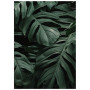 Постер "Tropical"