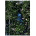 Постер "Waterfall"