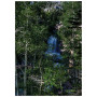 Постер "Waterfall"