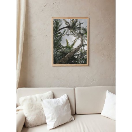 Постер "Palm"