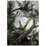 Постер "Palm"