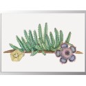 Постер "Cactus Art"