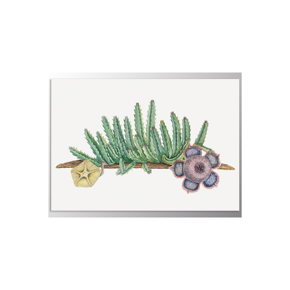 Постер "Cactus Art"