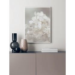 Постер в рамці "Hydrangea"