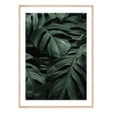 Постер в рамці "Tropical"