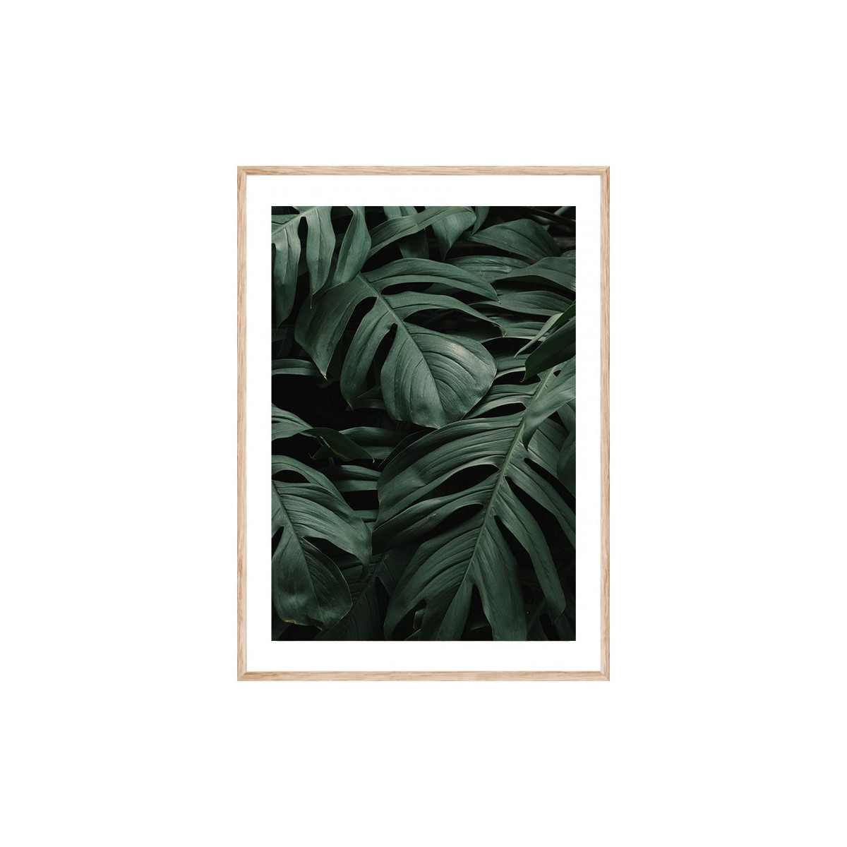 Постер в рамці "Tropical"