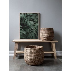 Постер в рамке "Tropical"