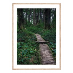 Постер в рамке "Forest"