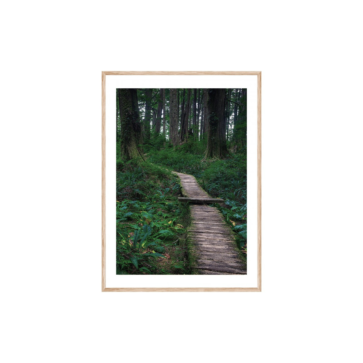 Постер в рамке "Forest"