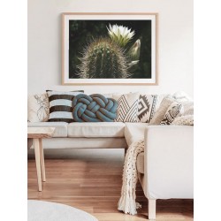 Постер в рамке "Cactus"