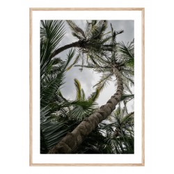 Постер в рамці "Palm"