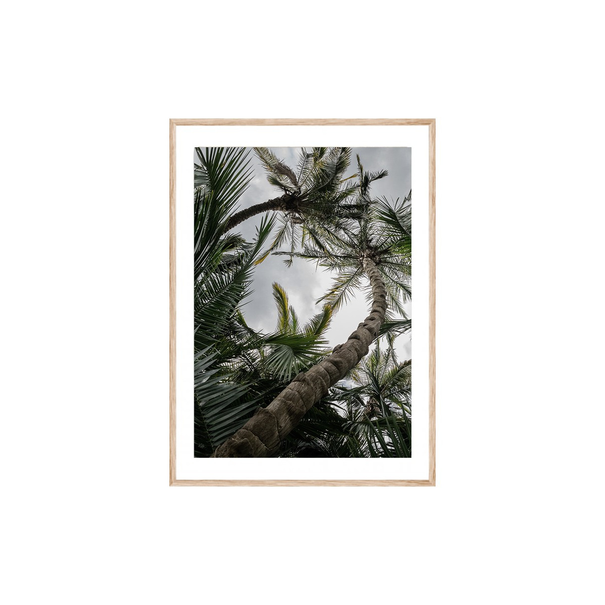 Постер в рамке "Palm"