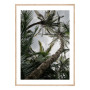 Постер в рамке "Palm"