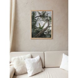 Постер в рамке "Palm"
