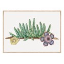 Постер в рамке "Cactus Art"