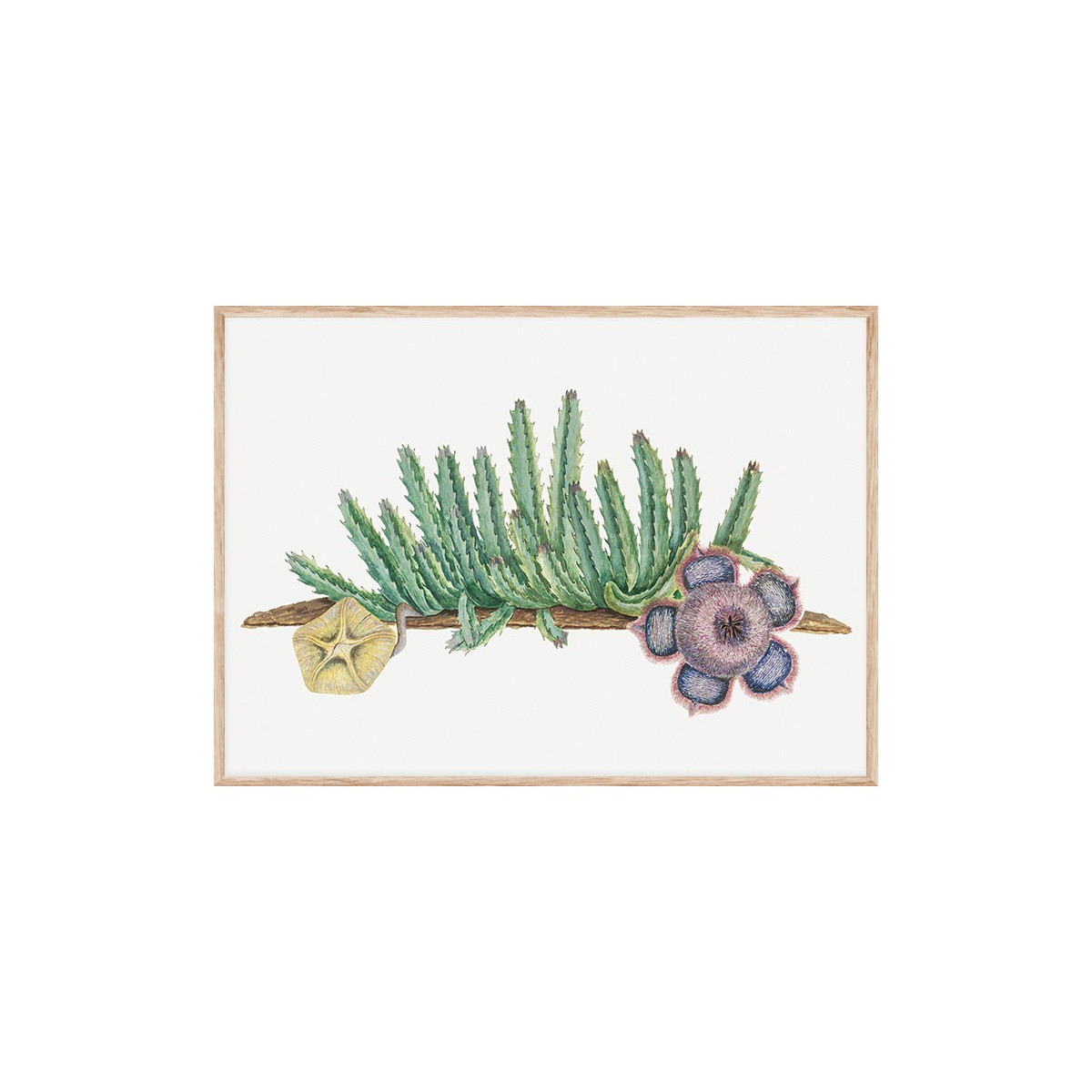 Постер в рамке "Cactus Art"