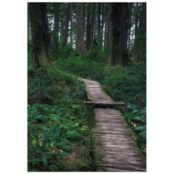 Комплект постеров "Tropical"