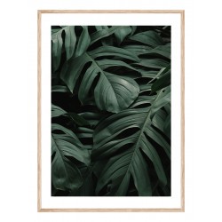 Комплект постерів в рамках "Tropical"