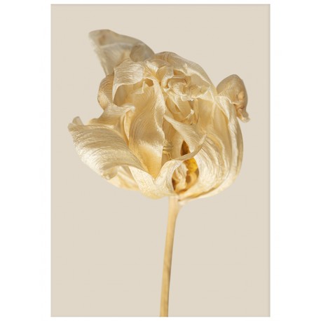 Постер "Flower"