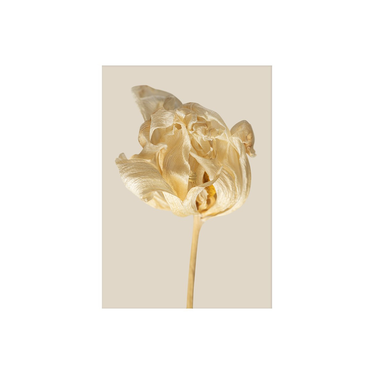 Постер "Flower"