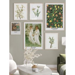 Постер "Botany. Mary Vaux Walcott"