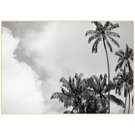 Постер "Palm"