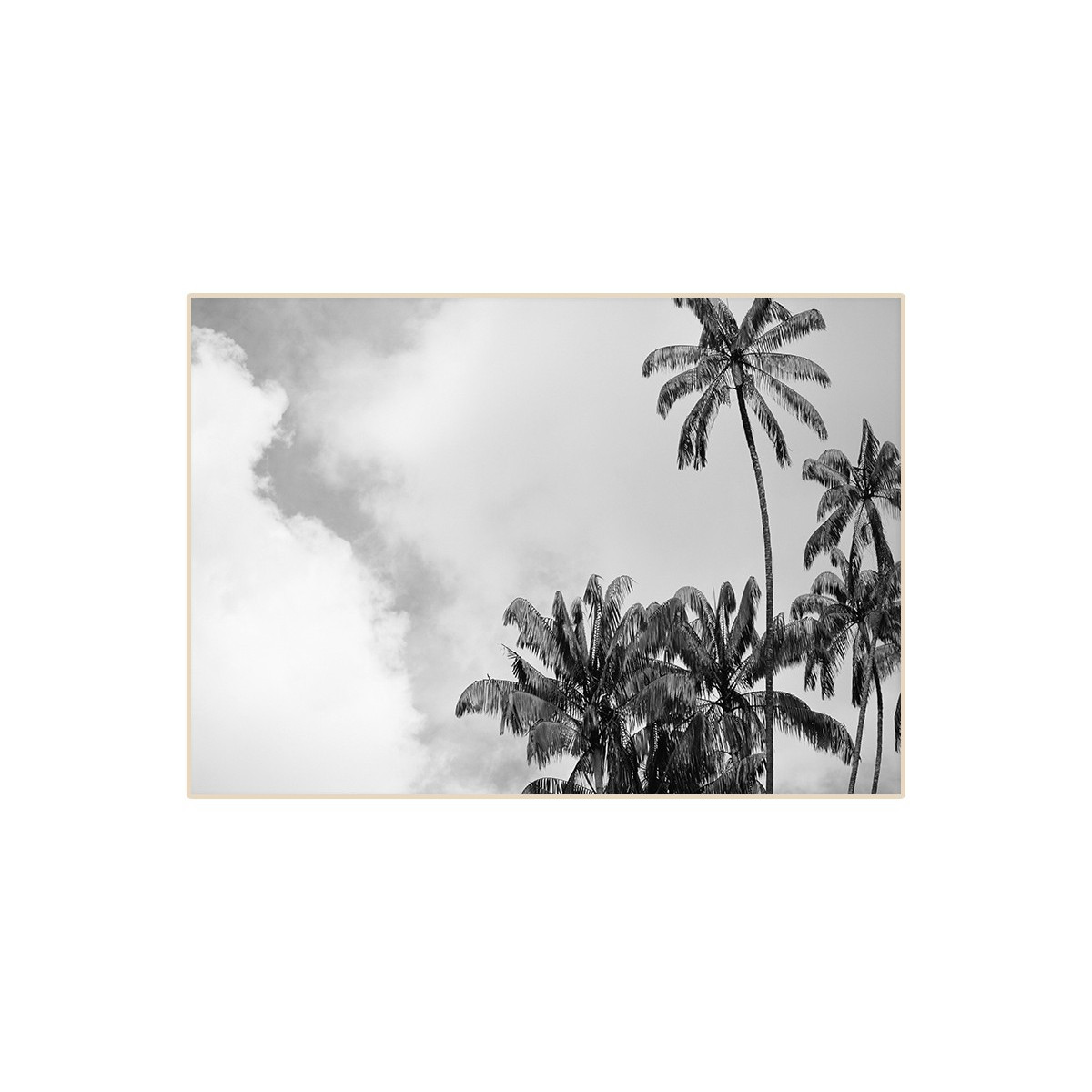 Постер "Palm"