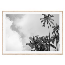 Постер в рамке "Palm"