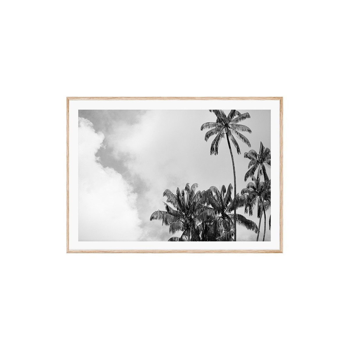Постер в рамке "Palm"