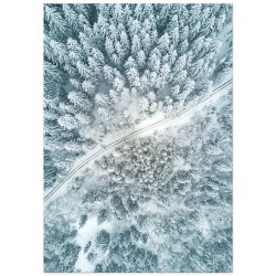 Постер "Winter forest"