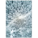 Постер "Winter forest"