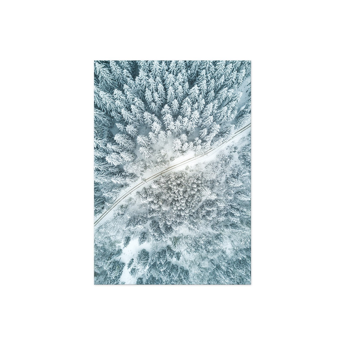 Постер "Winter forest"