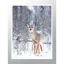 Постер "Fawn"