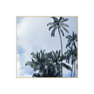 Постер "Palms"