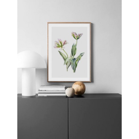 Постер "Tulips"