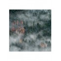 Постер "Forest"