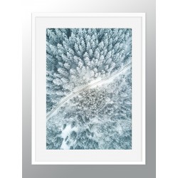 Постер в рамке "Winter fores"