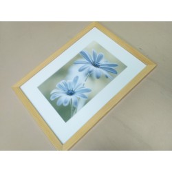 Постер в рамке "Delicate"