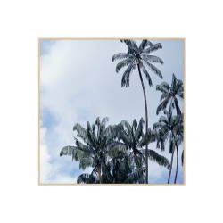 Постер в рамці "Palms"