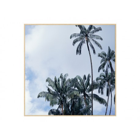 Постер в рамці "Palms"