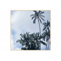 Постер в рамке "Palms"