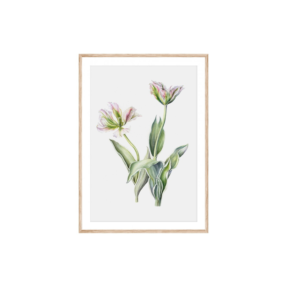 Постер в рамці "Tulips"