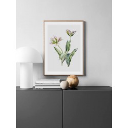 Постер в рамке "Tulips"