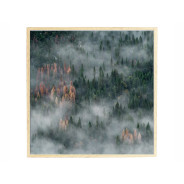 Постер в рамке "Forest"