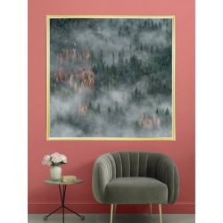 Постер в рамке "Forest"