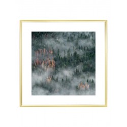 Постер в рамке "Forest"