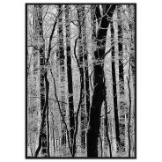 Постер "Forest"