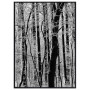 Постер "Forest"