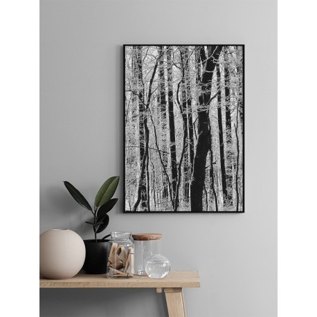Постер "Forest"