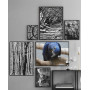 Постер "Tree Stump Rings"